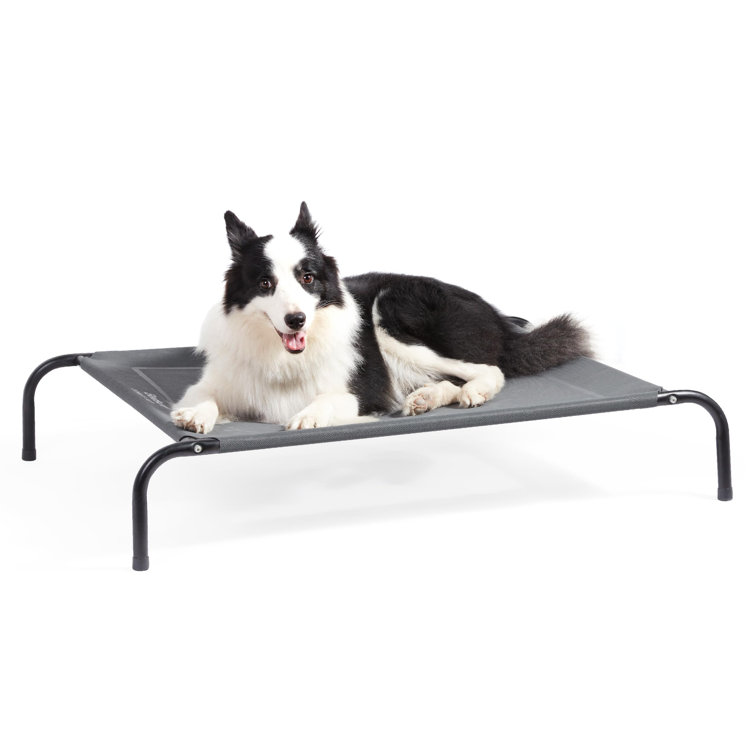 Large deals pet hammock